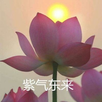 全民扔扔扔下载