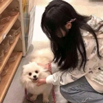 辉夜传说游戏下载